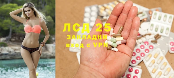 кокс Елизово