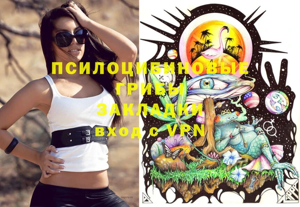 MDMA Дмитровск