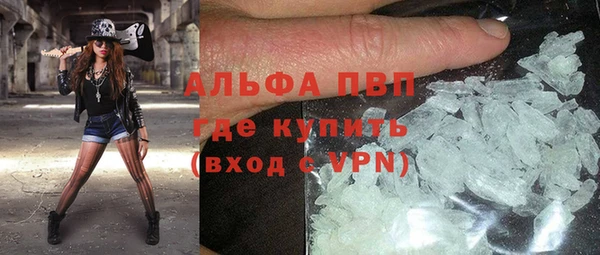крисы Дмитров