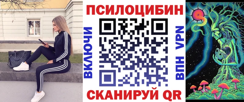 Псилоцибиновые грибы мицелий Купить где Партизанск
